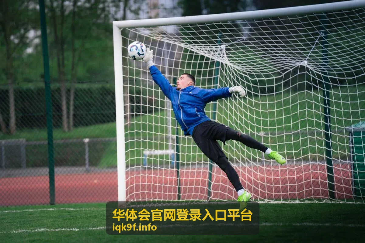 华体会官网登录入口平台-使用指南封面